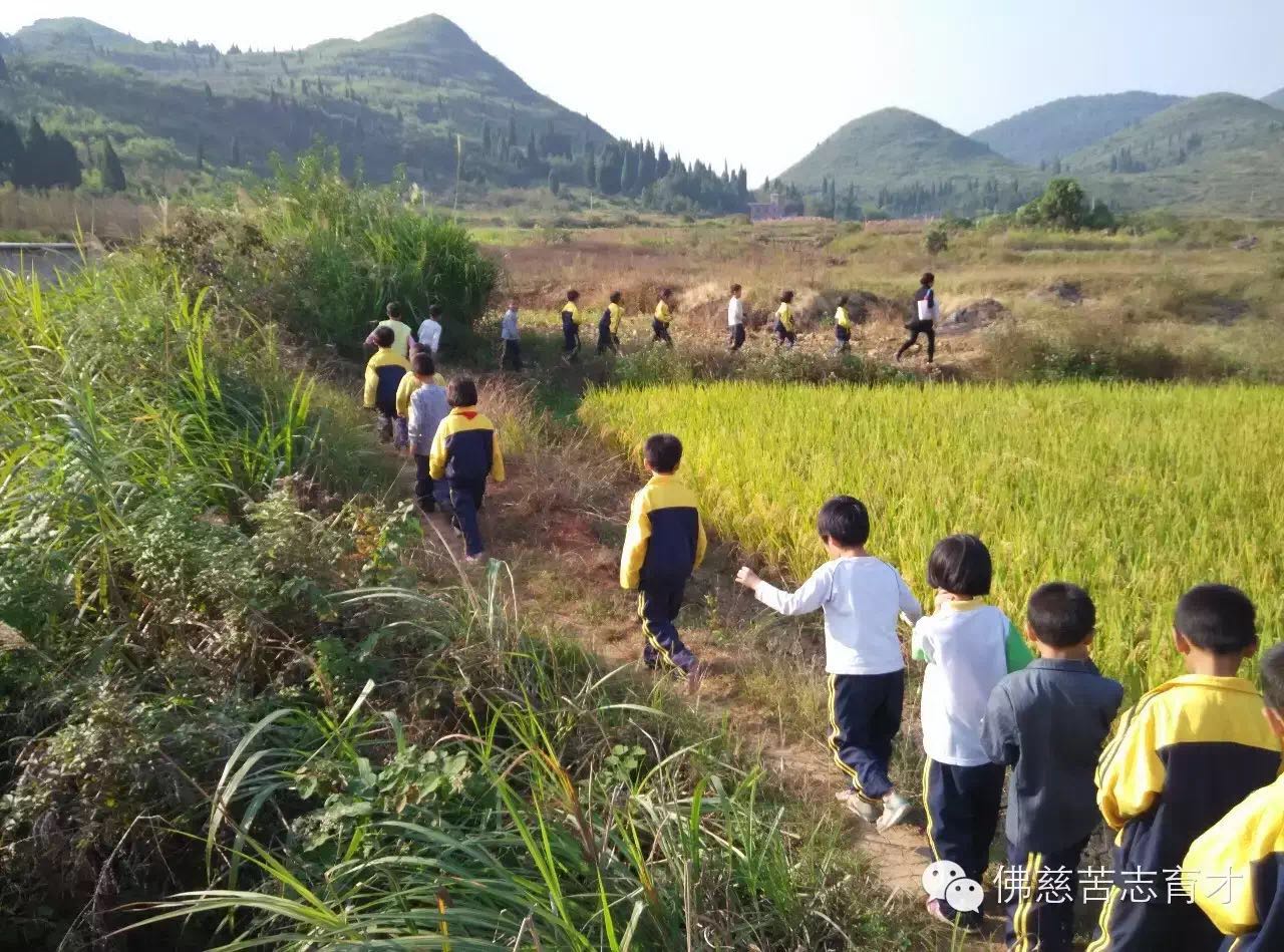 webwxgetmsgimg (2).jpg webwxgetmsgimg (2).jpg