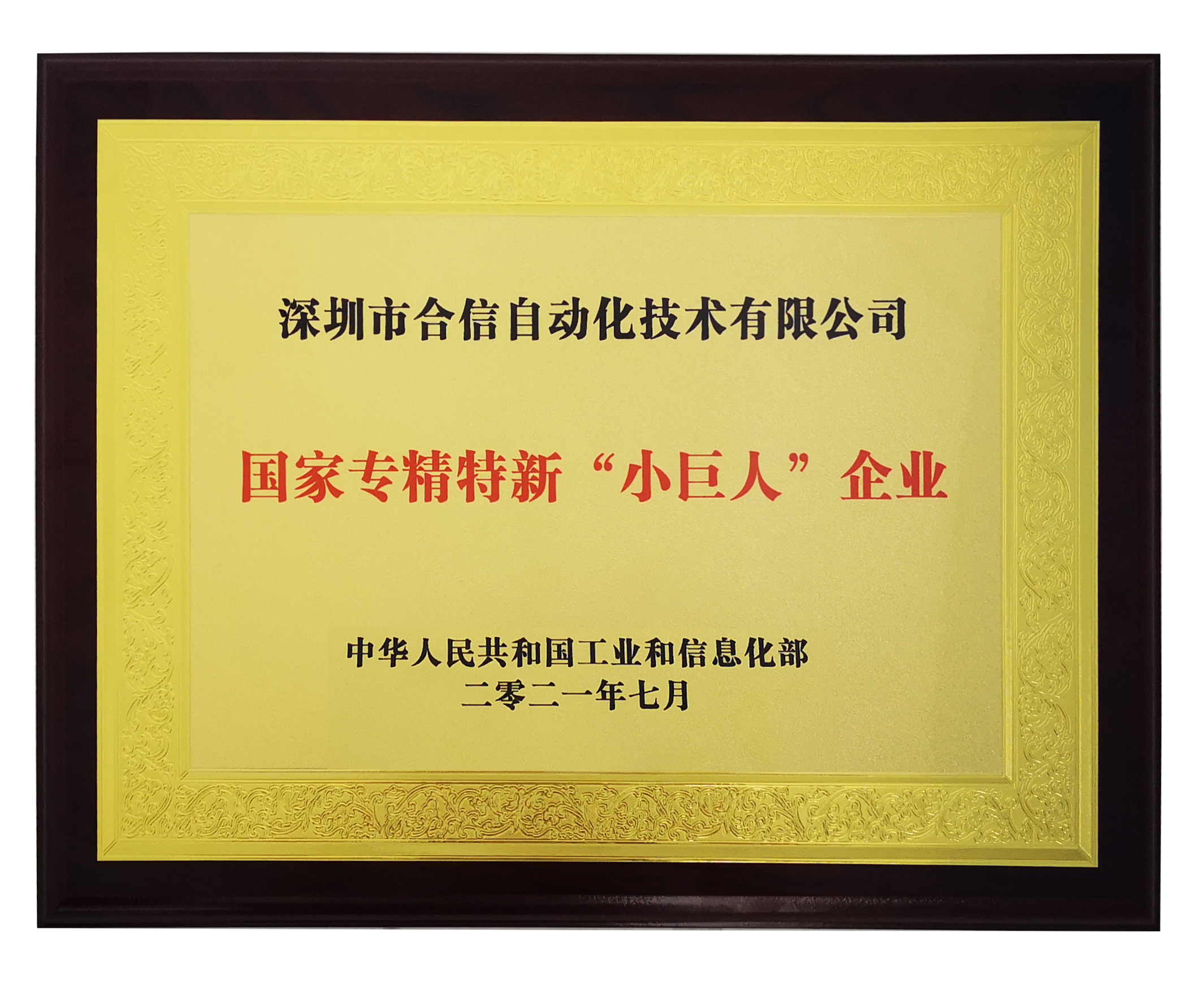 國(guó)家專精特精小巨人.png 國(guó)家專精特精小巨人.png