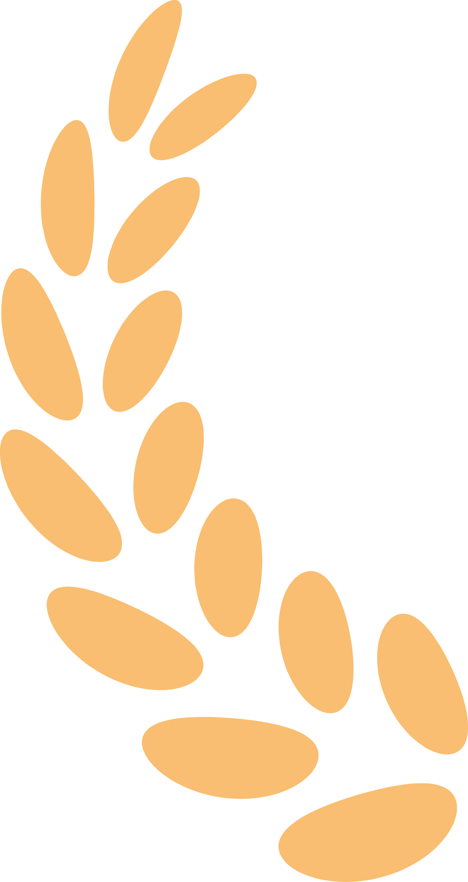 葉子.png 葉子.png