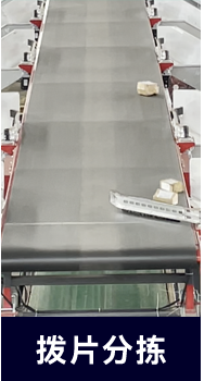 分類_06.png 分類_06.png